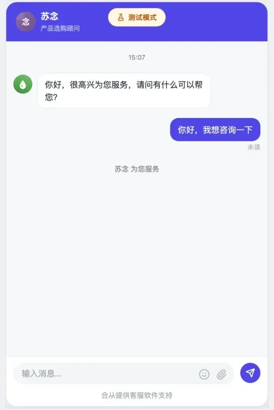 用临时链接打开的客户聊天页,顶部有测试模式标记,下方是欢迎语和刚发出的一条消息