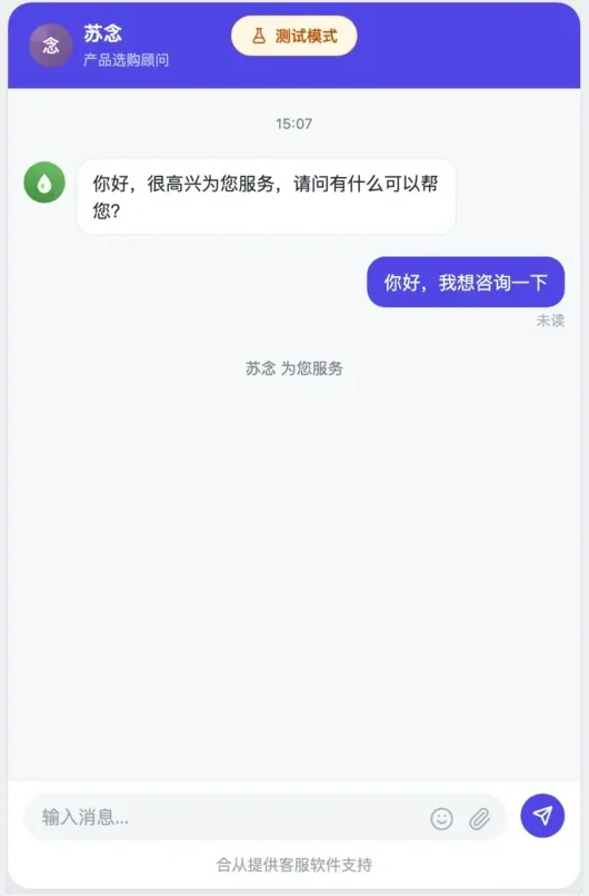 临时链接打开的访客聊天页，顶部有测试模式标记，下方是欢迎语和刚发出的一条消息